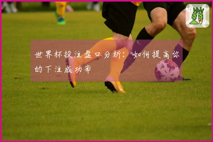 世界杯投注盘口分析：如何提高你的下注成功率
