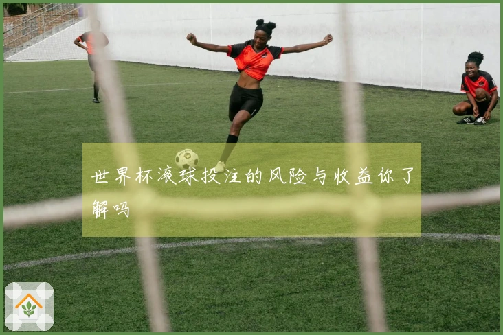 世界杯滚球投注的风险与收益你了解吗