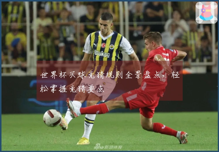 世界杯买球竞猜规则全景盘点，轻松掌握竞猜要点