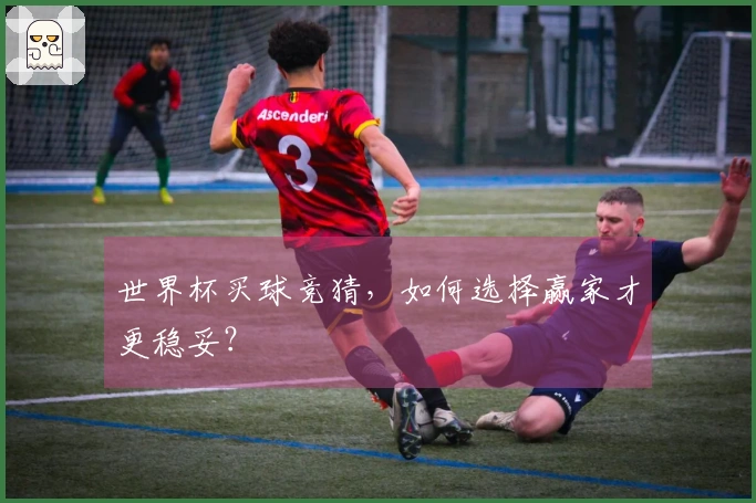 世界杯买球竞猜，如何选择赢家才更稳妥？
