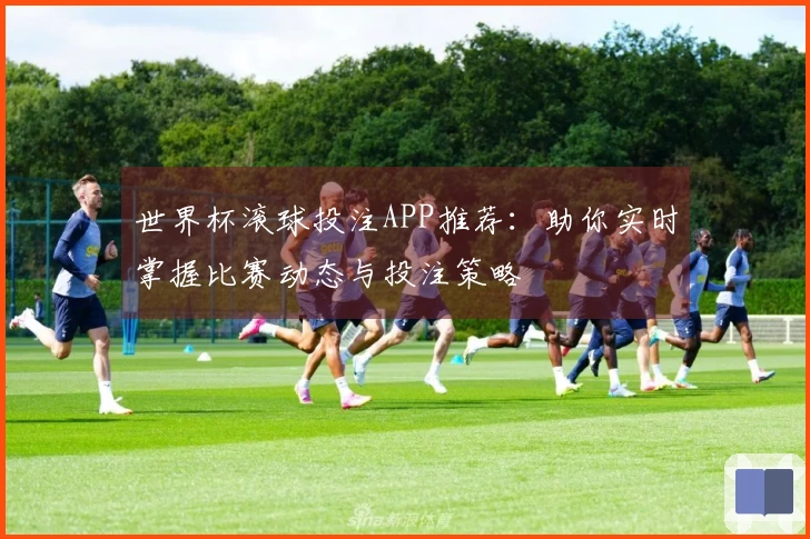 世界杯滚球投注APP推荐：助你实时掌握比赛动态与投注策略