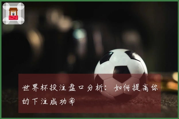 世界杯投注盘口分析：如何提高你的下注成功率